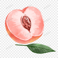 WWW,qqq54·COM网站APPAPP应用